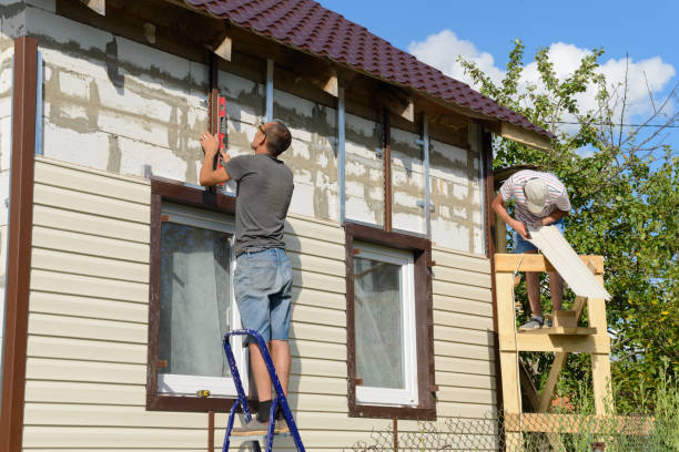 Best Brick Veneer Siding  in Duluth, GA