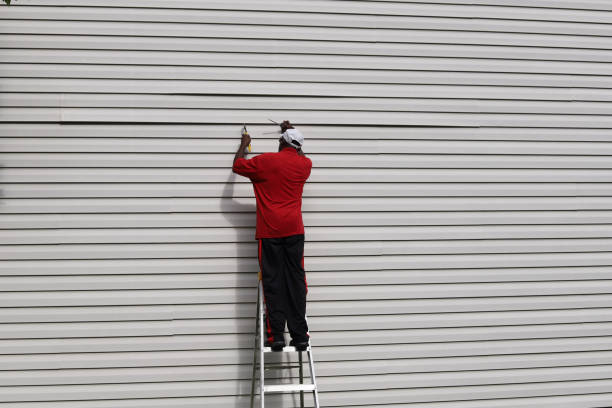 Best Composite Siding  in Duluth, GA